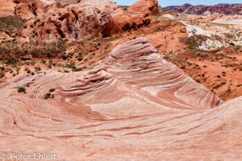 Fire Wave   Nevada USA by Peter Ehlert in Valley of Fire - Nevada State Park