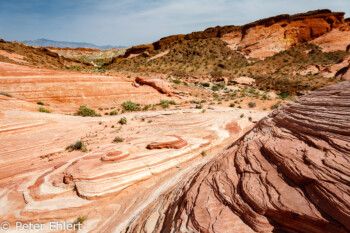 Fire Wave   Nevada USA by Peter Ehlert in Valley of Fire - Nevada State Park