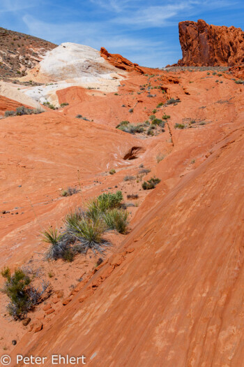 Fire Wave Trail   Nevada USA by Peter Ehlert in Valley of Fire - Nevada State Park