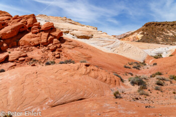 Fire Wave Trail   Nevada USA by Peter Ehlert in Valley of Fire - Nevada State Park