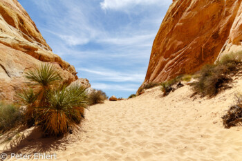 White Dome Trail   Nevada USA by Peter Ehlert in Valley of Fire - Nevada State Park