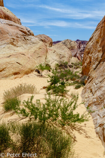 White Dome Trail   Nevada USA by Peter Ehlert in Valley of Fire - Nevada State Park