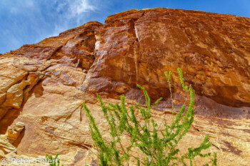 White Dome Trail   Nevada USA by Peter Ehlert in Valley of Fire - Nevada State Park