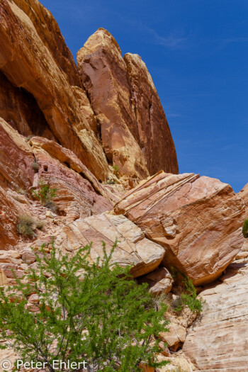 White Dome Trail   Nevada USA by Peter Ehlert in Valley of Fire - Nevada State Park