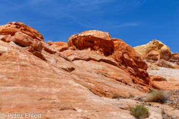White Dome Trail   Nevada USA by Peter Ehlert in Valley of Fire - Nevada State Park