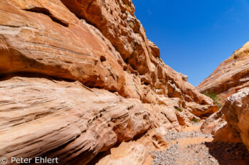 White Dome Trail   Nevada USA by Peter Ehlert in Valley of Fire - Nevada State Park