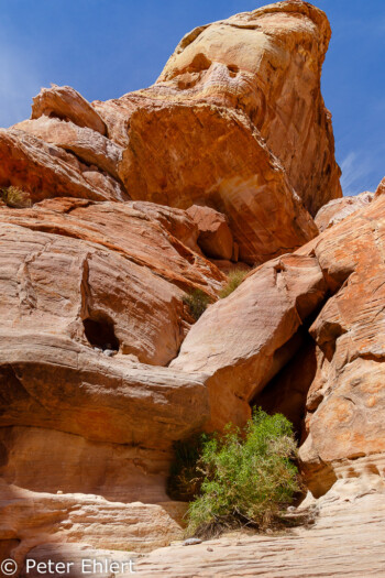 White Dome Trail   Nevada USA by Peter Ehlert in Valley of Fire - Nevada State Park