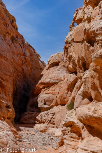 Schluchteingang   Nevada USA by Peter Ehlert in Valley of Fire - Nevada State Park