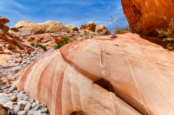 White Dome Trail   Nevada USA by Peter Ehlert in Valley of Fire - Nevada State Park