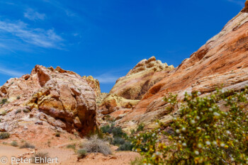 White Dome Trail   Nevada USA by Peter Ehlert in Valley of Fire - Nevada State Park