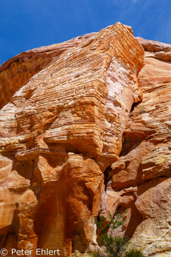 White Dome Trail   Nevada USA by Peter Ehlert in Valley of Fire - Nevada State Park