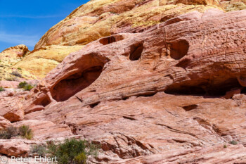 White Dome Trail   Nevada USA by Peter Ehlert in Valley of Fire - Nevada State Park