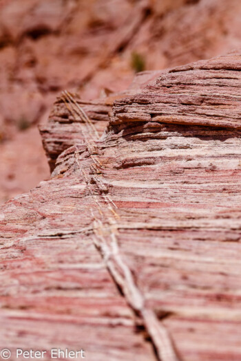 White Dome Trail   Nevada USA by Peter Ehlert in Valley of Fire - Nevada State Park