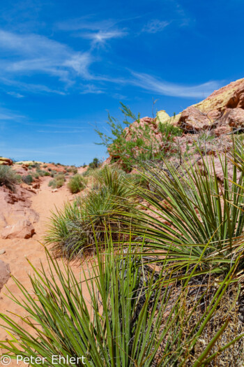 White Dome Trail   Nevada USA by Peter Ehlert in Valley of Fire - Nevada State Park