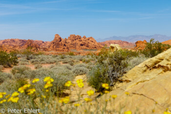 White Dome Trail   Nevada USA by Peter Ehlert in Valley of Fire - Nevada State Park