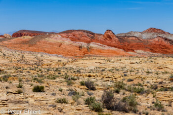 Plateau Mouse Tank Road   Nevada USA by Peter Ehlert in Valley of Fire - Nevada State Park