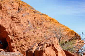 Atlatl Rock   Nevada USA by Peter Ehlert in Valley of Fire - Nevada State Park