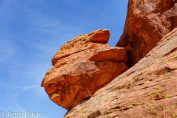 Atlatl Rock   Nevada USA by Peter Ehlert in Valley of Fire - Nevada State Park