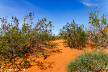 Atlatl Rock   Nevada USA by Peter Ehlert in Valley of Fire - Nevada State Park