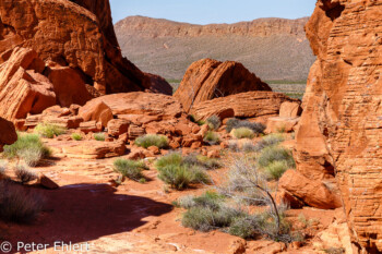 Scenic Loop Road   Nevada USA by Peter Ehlert in Valley of Fire - Nevada State Park