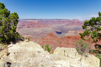 Rim Trail  Grand Canyon Village Arizona USA by Peter Ehlert in Grand Canyon South Rim