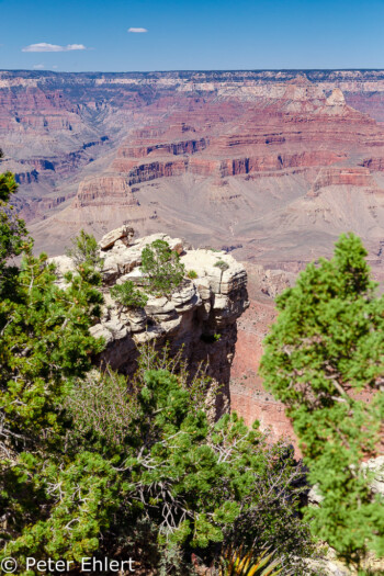 Rim Trail  Grand Canyon Village Arizona USA by Peter Ehlert in Grand Canyon South Rim