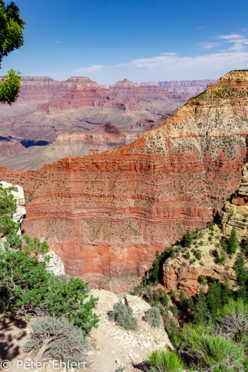 Rim Trail  Grand Canyon Village Arizona USA by Peter Ehlert in Grand Canyon South Rim