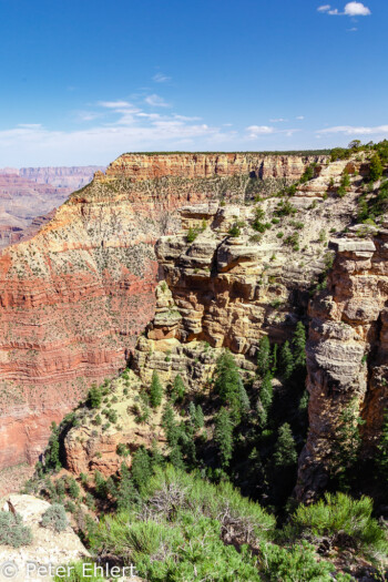 Rim Trail  Grand Canyon Village Arizona USA by Peter Ehlert in Grand Canyon South Rim