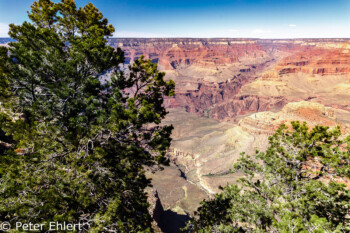 Rim Trail  Grand Canyon Village Arizona USA by Peter Ehlert in Grand Canyon South Rim