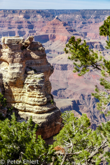 Rim Trail  Grand Canyon Village Arizona USA by Peter Ehlert in Grand Canyon South Rim