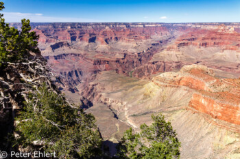 Rim Trail  Grand Canyon Village Arizona USA by Peter Ehlert in Grand Canyon South Rim