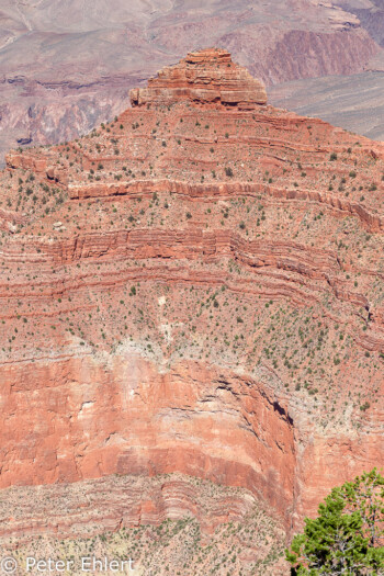 Rim Trail  Grand Canyon Village Arizona USA by Peter Ehlert in Grand Canyon South Rim