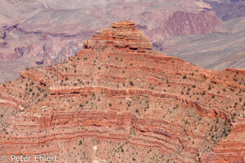 Rim Trail  Grand Canyon Village Arizona USA by Peter Ehlert in Grand Canyon South Rim