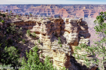 Rim Trail  Grand Canyon Village Arizona USA by Peter Ehlert in Grand Canyon South Rim