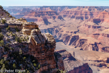 Rim Trail  Grand Canyon Village Arizona USA by Peter Ehlert in Grand Canyon South Rim