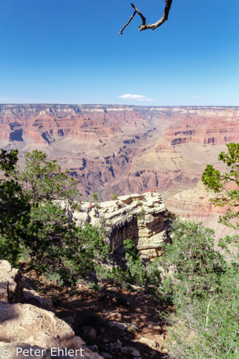 Rim Trail  Grand Canyon Village Arizona USA by Peter Ehlert in Grand Canyon South Rim