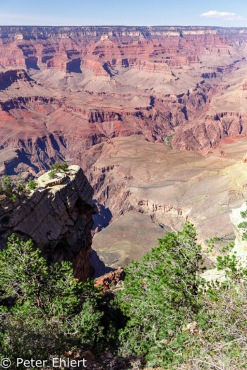 Rim Trail  Grand Canyon Village Arizona USA by Peter Ehlert in Grand Canyon South Rim