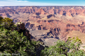 Rim Trail  Grand Canyon Village Arizona USA by Peter Ehlert in Grand Canyon South Rim