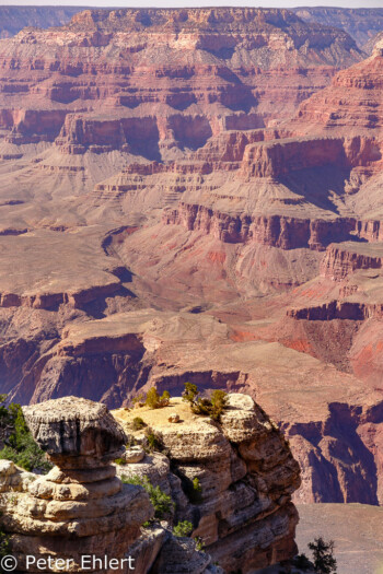 Rim Trail  Grand Canyon Village Arizona USA by Peter Ehlert in Grand Canyon South Rim