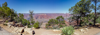 Rim Trail  Grand Canyon Village Arizona USA by Peter Ehlert in Grand Canyon South Rim