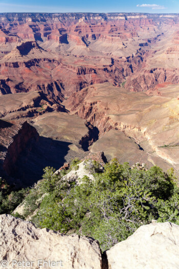 Rim Trail  Grand Canyon Village Arizona USA by Peter Ehlert in Grand Canyon South Rim