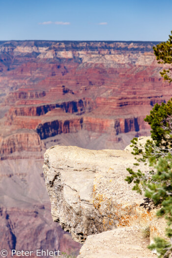 Rim Trail  Grand Canyon Village Arizona USA by Peter Ehlert in Grand Canyon South Rim