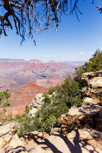 Rim Trail  Grand Canyon Village Arizona USA by Peter Ehlert in Grand Canyon South Rim