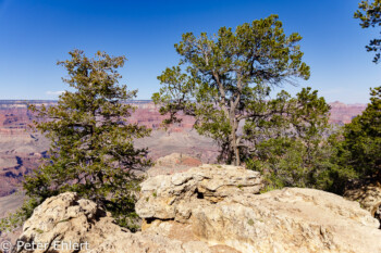 Rim Trail  Grand Canyon Village Arizona USA by Peter Ehlert in Grand Canyon South Rim