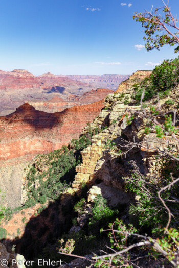 Rim Trail  Grand Canyon Village Arizona USA by Peter Ehlert in Grand Canyon South Rim