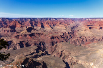 Yavapai Point  Grand Canyon Village Arizona USA by Peter Ehlert in Grand Canyon South Rim