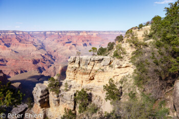 Rim Trail  Grand Canyon Village Arizona USA by Peter Ehlert in Grand Canyon South Rim