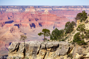 Rim Trail  Grand Canyon Village Arizona USA by Peter Ehlert in Grand Canyon South Rim