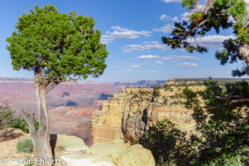 Powell Point  Grand Canyon Village Arizona USA by Peter Ehlert in Grand Canyon South Rim