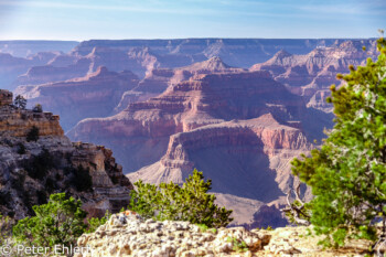 Powell Point  Grand Canyon Village Arizona USA by Peter Ehlert in Grand Canyon South Rim